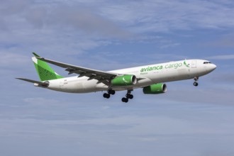 An Avianca Cargo Mexico Airbus A330-300P2F aircraft with license plate N338QT at Miami airport, USA