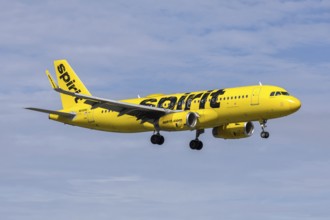 An Airbus A320 Spirit Airlines aircraft with license plate N648NK at Miami airport, USA