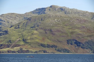 Mountain backdrop with calm lake and canoeists under clear sky, Knoydart, Mallaig, Scotland, Great