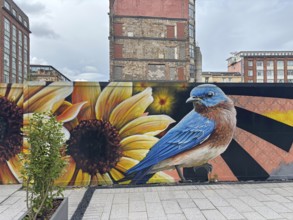 Mural of a bird and a sunflower in an urban setting, mural, street art, Glasgow, Scotland, United