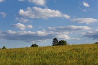Lime kiln near the fog cave, clouds, sky, expanse, meadow, bushes, hills, landscape, Swabian Jura,
