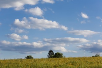 Lime kiln near the fog cave, clouds, sky, expanse, meadow, bushes, hills, landscape, Swabian Jura,