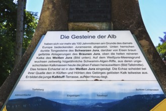 Information board at the rock obelisk, description of geological past, rocks of the Swabian Jura,