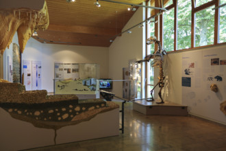 Tiefenhöhle Bear Skeleton Museum, Laichingen, Swabian Jura, Baden-Württemberg, Germany