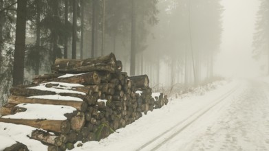 Stacks of wood next to a snowy path in a foggy forest, mystical, quiet atmosphere, Rennsteig,