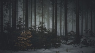 Gloomy forest scene at dusk with snow-covered ground, mystical, quiet atmosphere, Rennsteig,