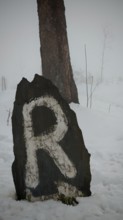 A stone marked with the letter R in foggy, snowy terrain next to a tree, signpost, Rennsteig,
