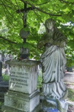 Angel sculpture under a chestnut tree on a family grave, Lützenhofer cemetery Lychakivskiy