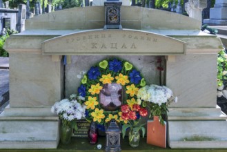 Grave decorated with artificial flowers, Lützenhofer cemetery Lychakivskiy cemetery, Lviv, Galicia,