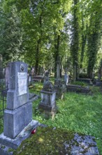 Lützenhofer cemetery Lychakivskiy cemetery, Lviv, Galicia, Ukraine