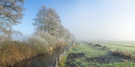 View along a ditch where trees and grasses grow on the shore and the morning dew is frozen, Winter,