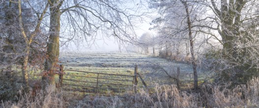 View over a gate to a pasture with the surrounding vegetation wetted with frozen morning dew,