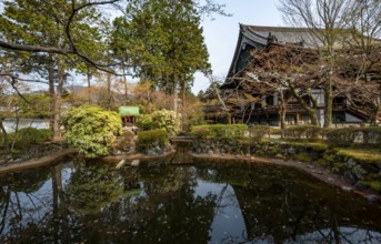Pond at Shinsho Gokurakuji or Shinnyo-do Temple, Japanese cherry blossom, Kyoto, Japan