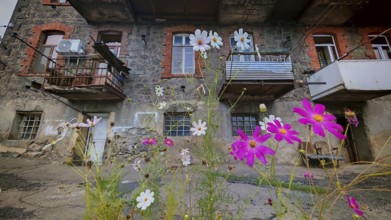 Colourful flowers in front of an old residential building with brick and wood, Armenia