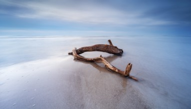 Long exposure, driftwood on sandbar on Baltic Sea beach in the evening, Darß west beach after
