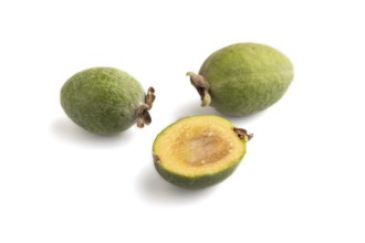 Ripe Feijoa isolated on white background, side view, close up, minimalism