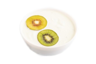 Yogurt with kiwi in white bowl Isolated on white background, side view, copy space, minimalism