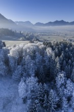 Winter landscape, fog, high fog, mountain landscape, hoarfrost, cold, trees, forest, winter, sunny,