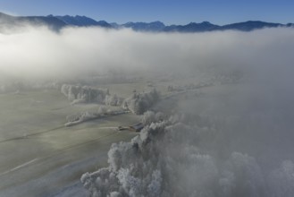 Winter landscape, fog, high fog, mountain landscape, hoarfrost, cold, trees, forest, winter, sunny,