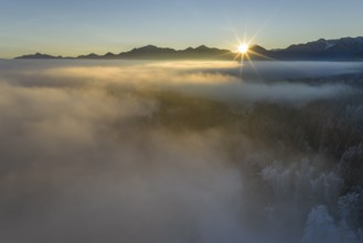 Sunrise, fog, high fog, mountain landscape, back light, hoarfrost, cold, winter, sunny, aerial