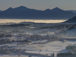 Winter landscape, fog, high fog, mountain landscape, back light, hoarfrost, cold, winter, sunny,