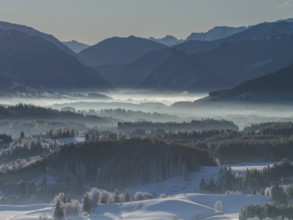 Winter landscape, fog, high fog, mountain landscape, back light, hoarfrost, cold, winter, sunny,