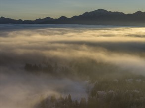 Sunrise, fog, high fog, mountain landscape, back light, hoarfrost, cold, winter, sunny, aerial