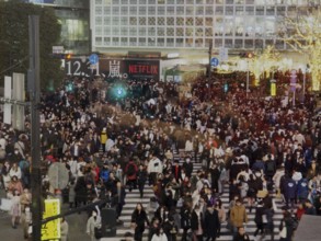 Heavy foot traffic at an urban intersection at night, Shibuya, Tokyo, Japan