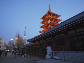 Illuminated pagoda in a temple complex at sunset, Sensoji Temple, Tokyo, Japan