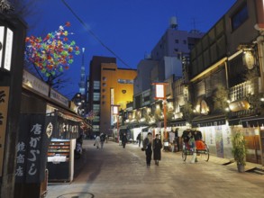 Bustling street scene in the evening with illuminated shops and passers-by, Nishi-Asakusa, Tokyo,