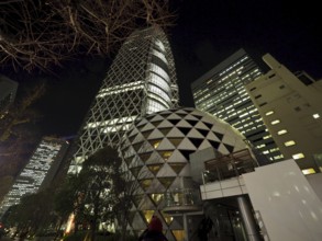 Modern skyscrapers illuminated at night in an urban setting, Shinjuku, Tokyo, Japan