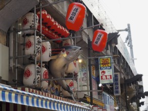 Shop with eye-catching decoration, including a fish and red lanterns, Ameyoko Market, Tokyo, Japan