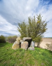 Megalithic grave, megalithic grave near Mürow near Angermünde, Brandenburg, Germany
