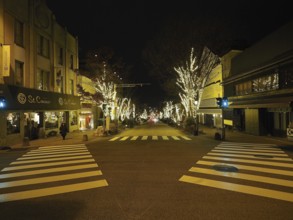 Illuminated trees line a city street at night, a quiet urban scene, Chuo-dori street, Nagano, Japan