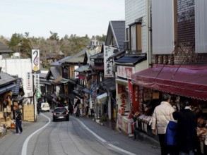 Busy street with traditional shops and pedestrians, Densha-michi street, Narita, Japan