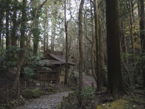 Quietly located wooden cabin surrounded by a thick forest, Narita-san Park, Narita, Japan
