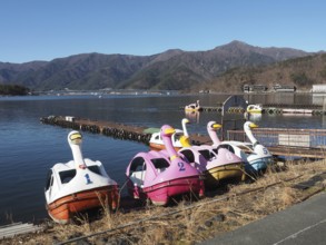 Several swan shaped paddleboats on a calm lake with mountains in the background, Lake Kawaguchiko,