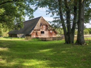 Typical sheepfold under old oak trees, Lüneburger Heide, Lower Saxony, Germany