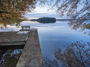 Quiet lake in autumn after sunset at dusk, colorful foliage lying on a jetty, Großer Lychensee,
