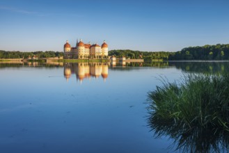 Moritzburg Castle, Augusts the Strong hunting lodge in morning light, water reflection in the lake,