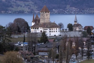 Castle with Lake Thun, Spiez, Switzerland
