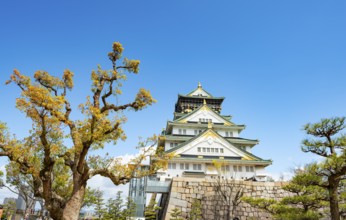 Osaka castle among trees in the park, Osaka Castle Park, Chuo-ku, Osaka, Japan