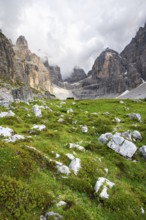 Cliffs and pinnacles in fog, Brenta Mountains, Brenta-Adamello Natural Park, Trentino, Italy