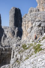 Mountaineers on the Bocchette Centrale band trail, via ferrata in the Brenta Mountains,
