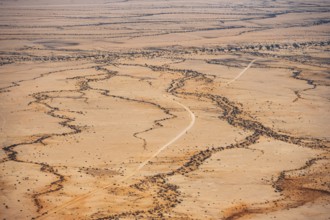 Extensive desert landscape with distinctive soil formations under clear skies, Spitzkoppe, Namibia