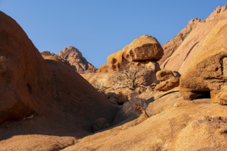 Rocky landscape with orange rocks under clear blue sky, Spitzkoppe, Namibia