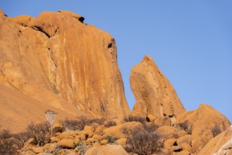 Impressive orange cliffs under a clear sky in the Spitzkoppe desert, Spitzkoppe, Namibia