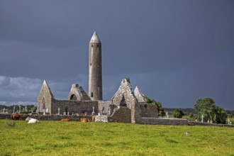 Kilmacduagh / Cill Mhic Dhuach monastery, ruined abbey and cathedral, 12th century round tower and