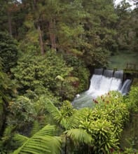 Waterfall in the rainforest or jungle, Santa Cruz Verapaz, Alta Verapaz Department, Guatemala