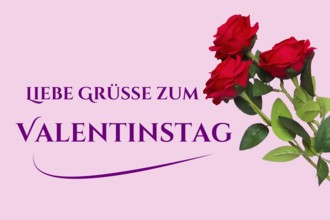Valentine greetings: roses and text GREETINGS FOR VALENTINE'S DAY on a pastel pink background
